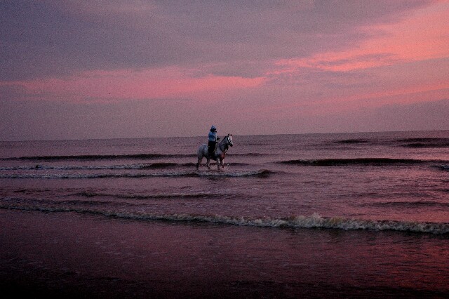 min 2007 11 25 camber plage 070